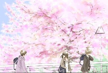 每日大赛今日91